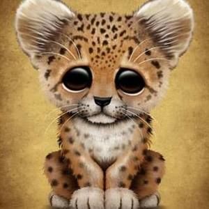 Meet your Posher, Diana